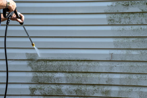 Best Property Management Cleanouts  in Chenoa, IL