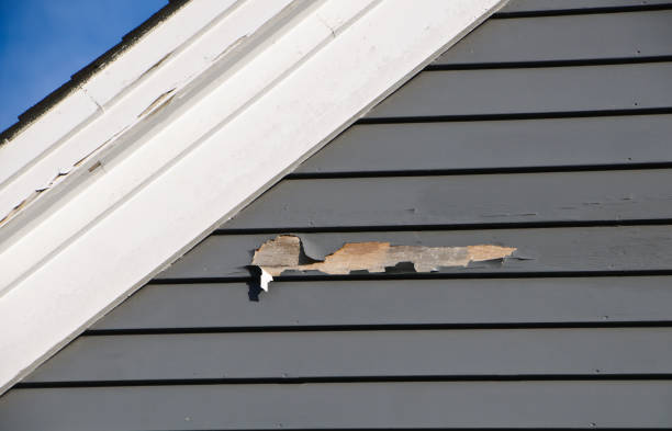 Reliable Chenoa, IL Junk Removal Solutions